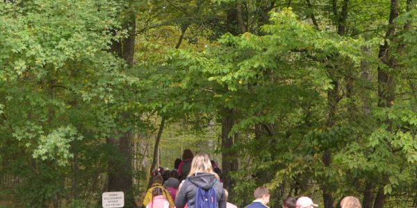 Marche Rose des enfants : Tous ensemble dans la forêt St Hubert