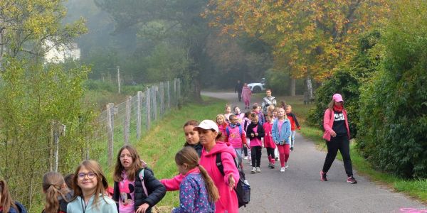 Marche Rose des enfants : Tous ensemble dans la forêt St Hubert