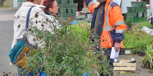 PREMIÈRE ÉDITION “UNE SECONDE VIE DES PLANTES DES MASSIFS MUNICIPAUX