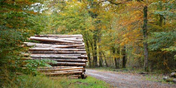 LA COMMISSION ENVIRONNEMENT SUR LE TERRAIN…