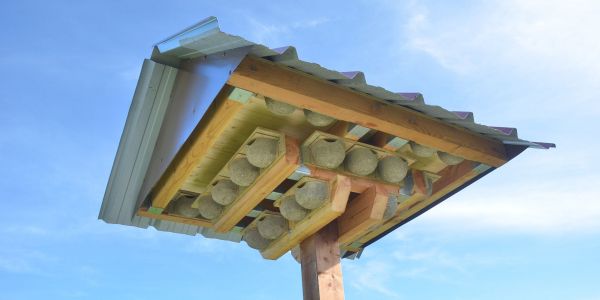 INSTALLATION D'UNE TOUR À HIRONDELLES