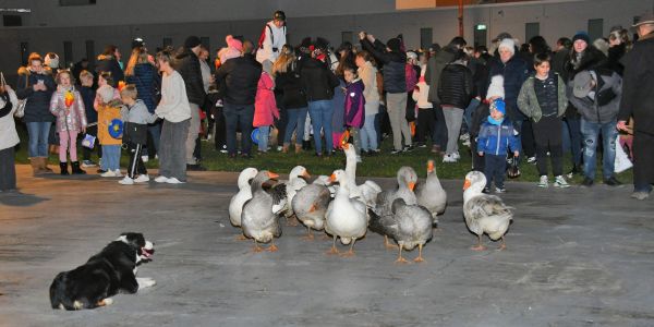 UNE BELLE PARADE POUR LA SAINT-MARTIN