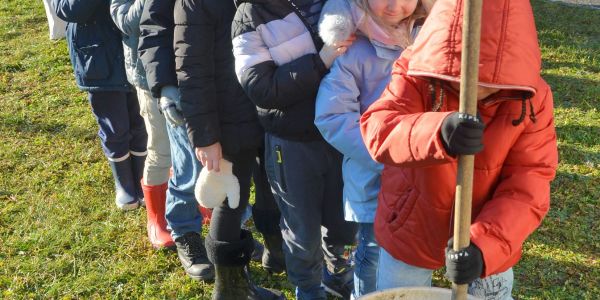 Des haies champêtres pour la biodiversité et l'éducation à l'environnement