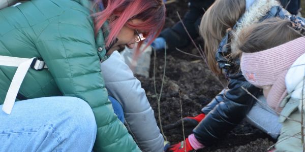 Des haies champêtres pour la biodiversité et l'éducation à l'environnement