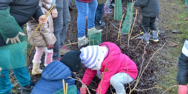 Des haies champêtres pour la biodiversité et l'éducation à l'environnement