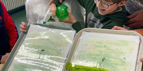 Des haies champêtres pour la biodiversité et l'éducation à l'environnement