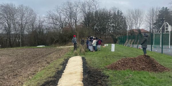 Des haies champêtres pour la biodiversité et l'éducation à l'environnement