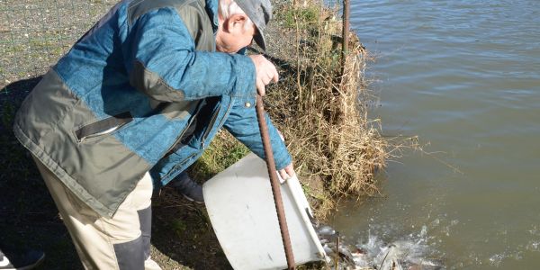 Alvinage pour l’Association de Pêche de Sarralbe