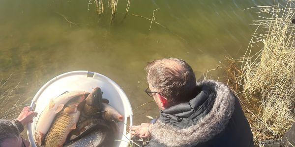 Alvinage pour l’Association de Pêche de Sarralbe