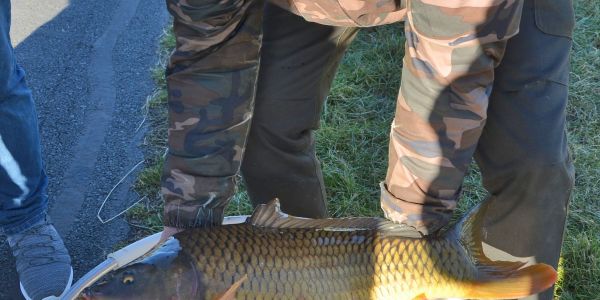 Alvinage pour l’Association de Pêche de Sarralbe