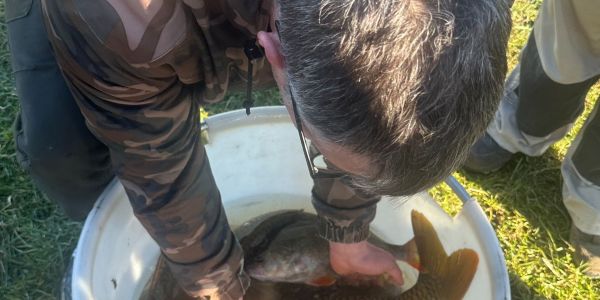 Alvinage pour l’Association de Pêche de Sarralbe