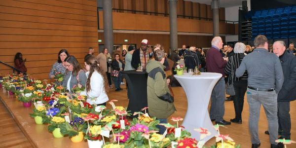 Soirée “Lumières de Noël”