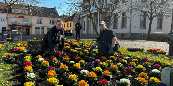 Sarralbe fait fleurir l’espoir