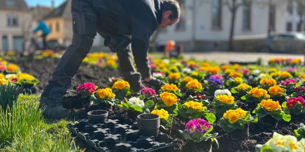 Sarralbe fait fleurir l’espoir