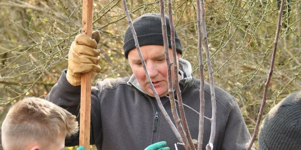 PLANTONS DES ARBRES FRUITIERS...