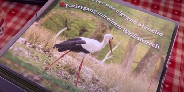 Livre sur les cigognes Livre sur les cigognes